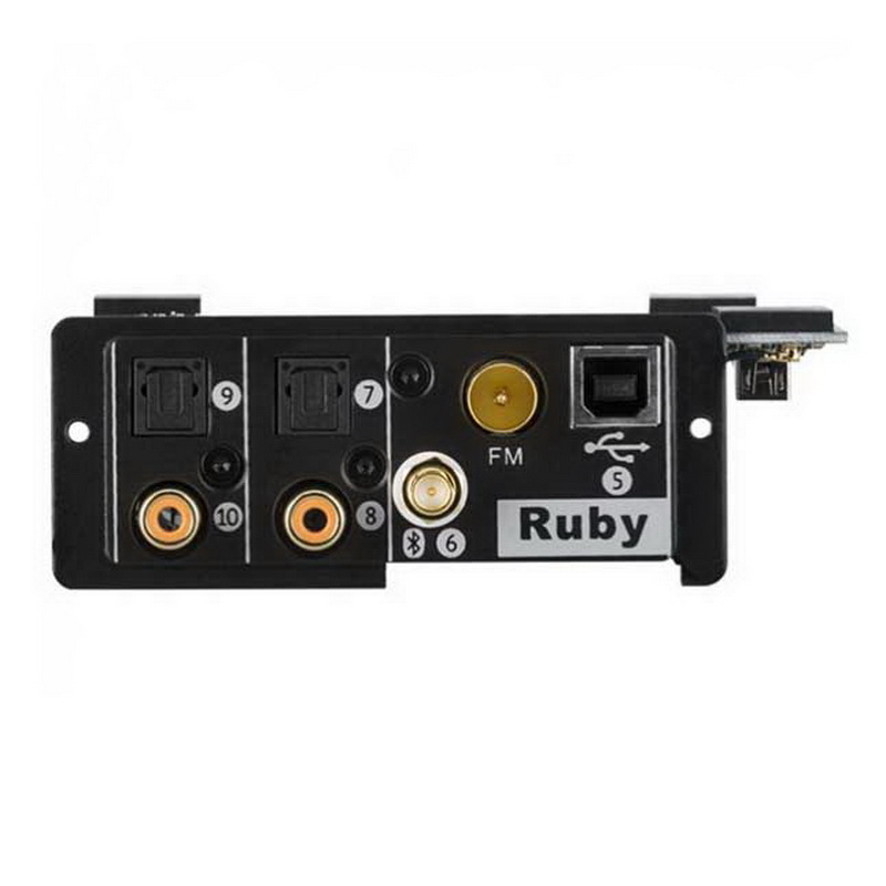 Creek RUBY Digital Module для Evo 50Av2 и Evo 100A